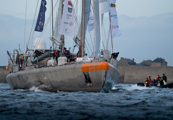 Tara sillonne les mers d'Europe